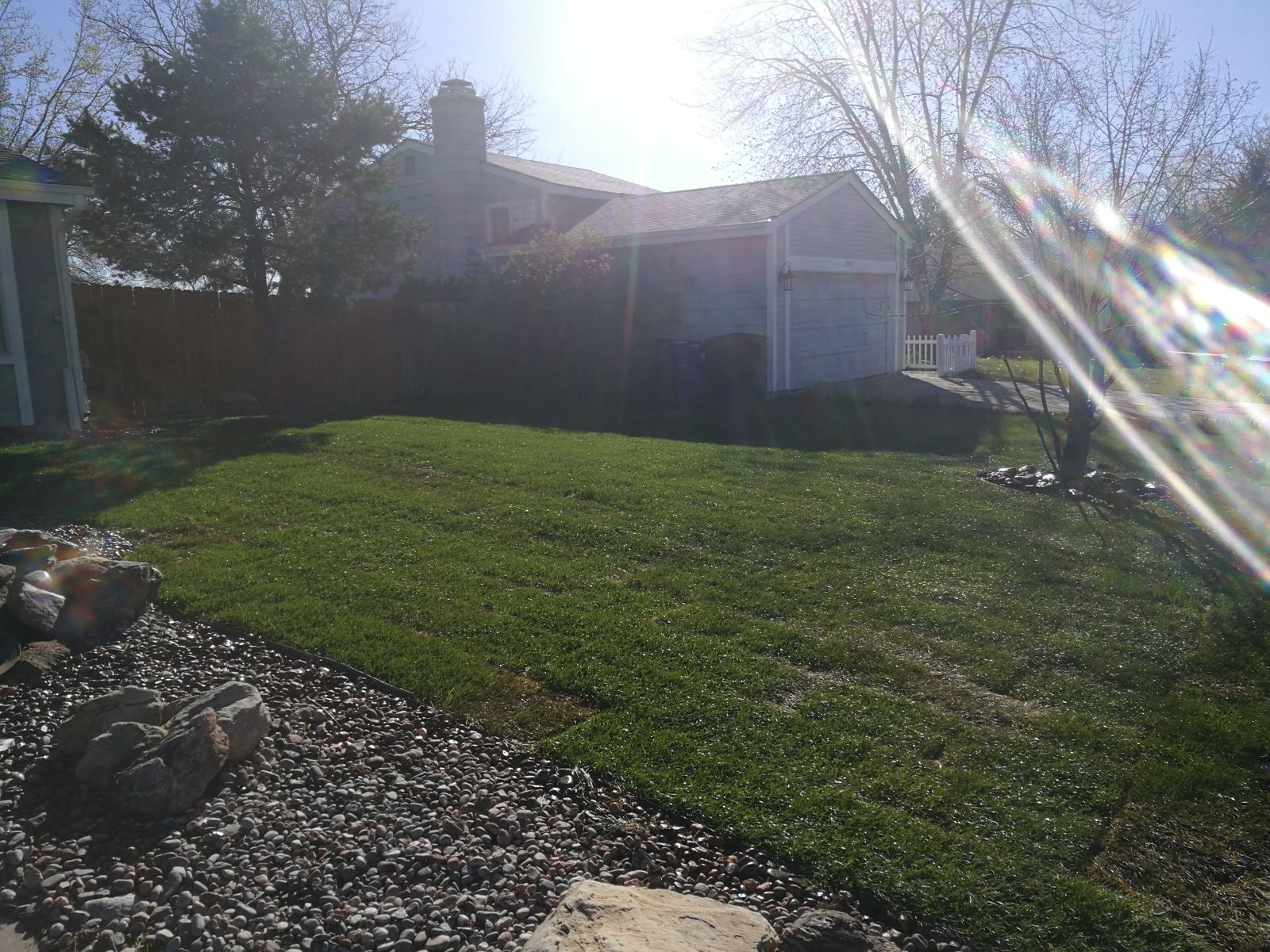 New sod installation in Thornton, CO